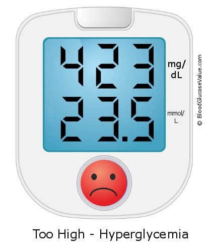 Blood Sugar 423 on the blood sugar test